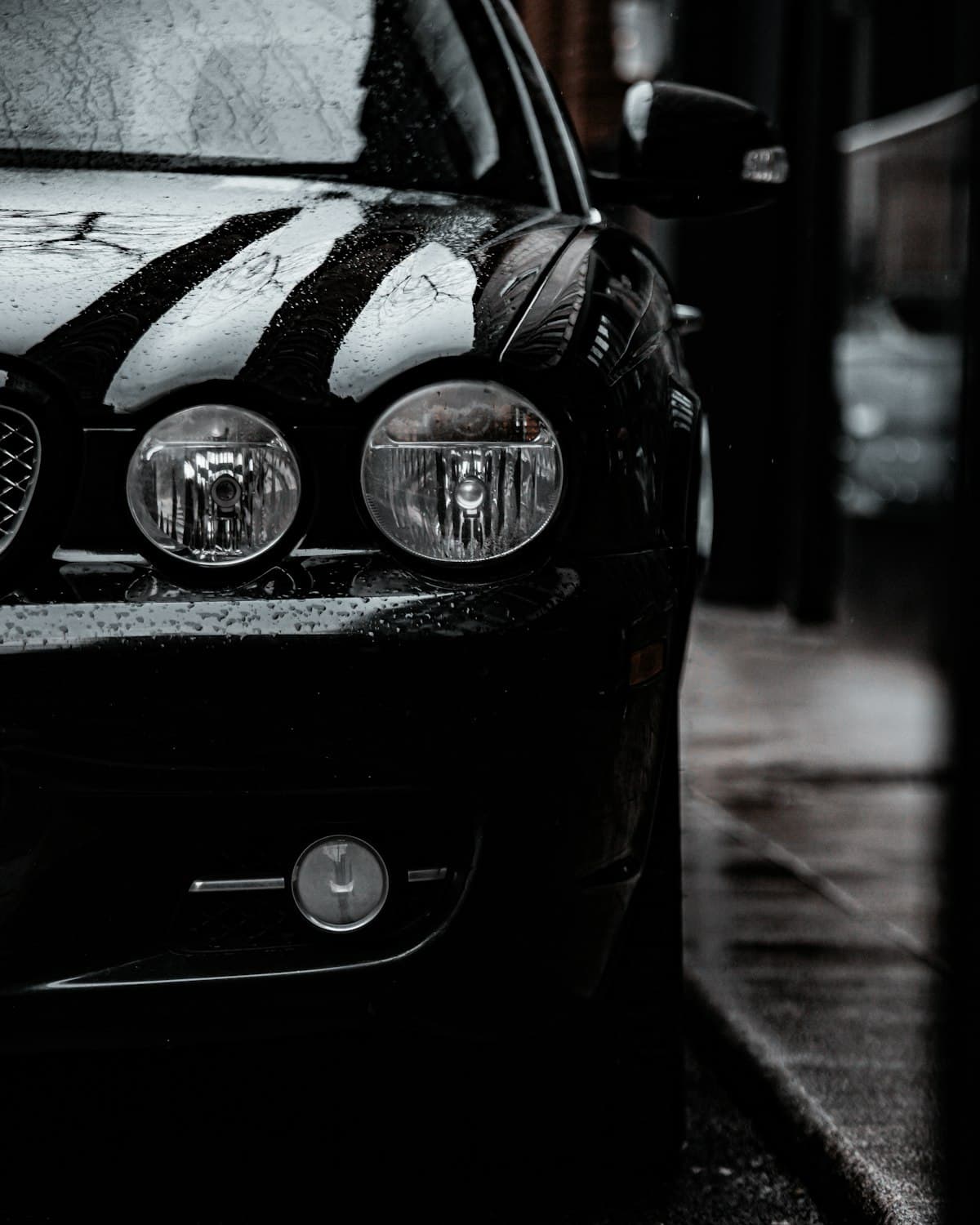 Alba Go chauffeur vehicle detail